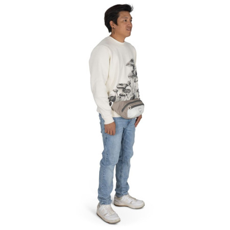 Riñonera Osprey Daylite Waist Pack