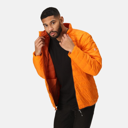 Chaqueta de hombre Regatta Hillpack