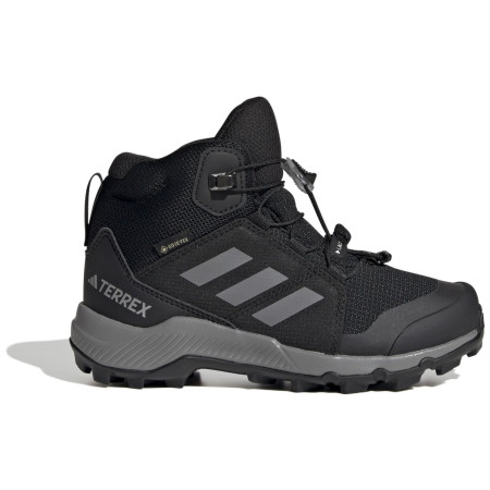 Calzado para niños Adidas Terrex Mid Gtx K