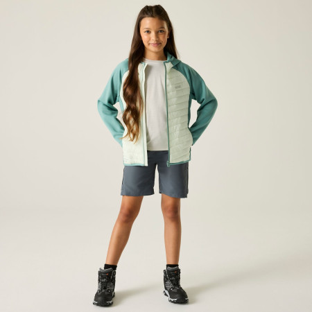 Chaqueta para niños Regatta Junior Andreson Hybrid IvyMossOMist