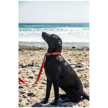 Correa para perro Mountain Paws Waterproof Dog Lead