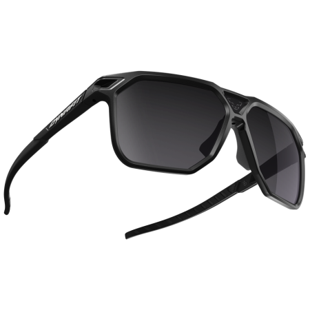 Gafas de sol Dynafit Traverse Sunglasses