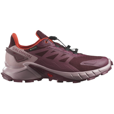 Zapatillas de carrera para mujer Salomon Supercross 4 GTX