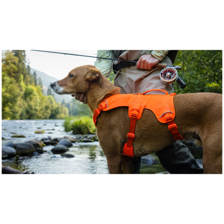 Arnés para perro Ruffwear Web Master™ Harness