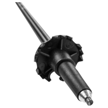 Bastones de senderismo Leki Eagle