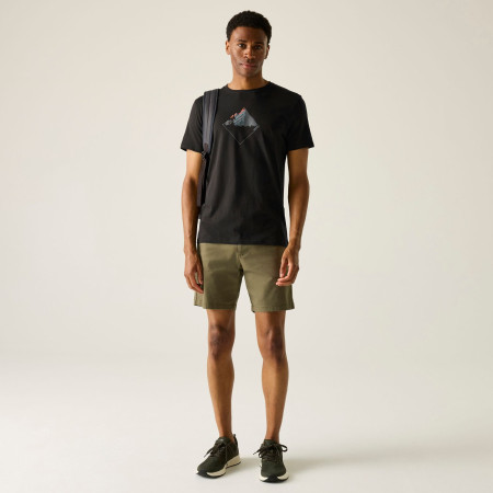 Camiseta de hombre Regatta Breezed