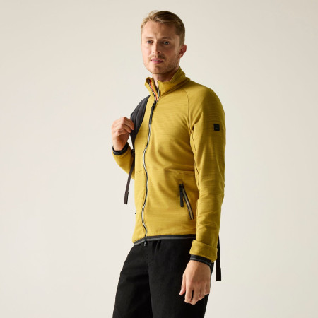 Sudadera de hombre Regatta Malton