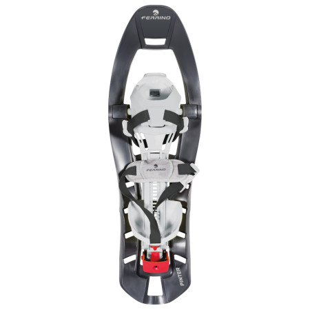 Raquetas de nieve Ferrino Pinter Castor Special gris oscuro