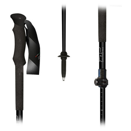 Bastones de senderismo Fizan RFP Touring