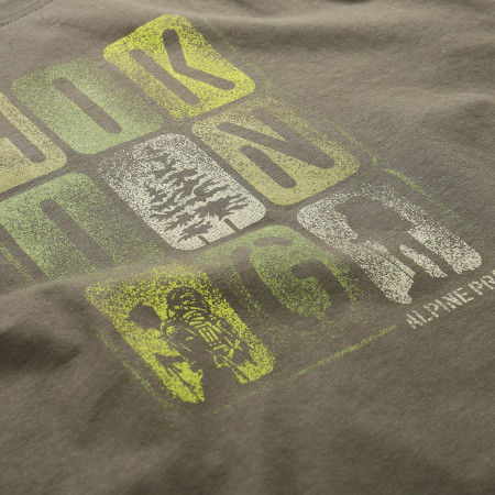 Camiseta de hombre Alpine Pro Bolen 2
