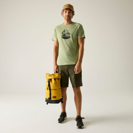 Camiseta de hombre Regatta Escade