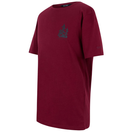 Camiseta de hombre Regatta Cline IX