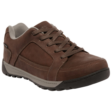 Calzado de hombre Regatta Stanly Low Nubuk marrón