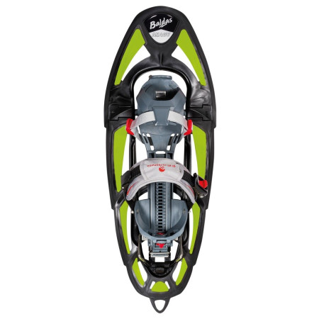Raquetas de nieve Ferrino Baldas Miage 2020 verde Green