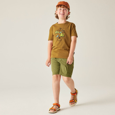 Camiseta para niños Dare 2b Trailbazer III Tee Dark Cumin