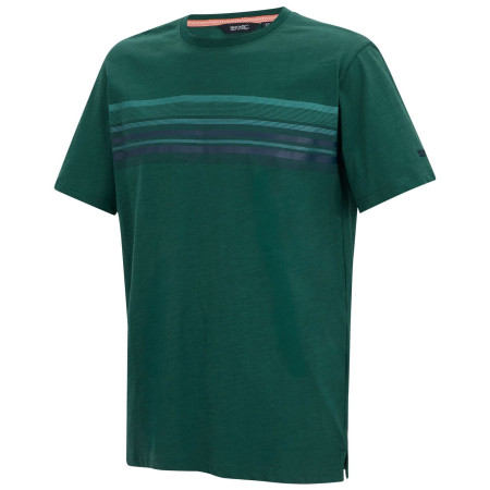 Camiseta de hombre Regatta Rendro