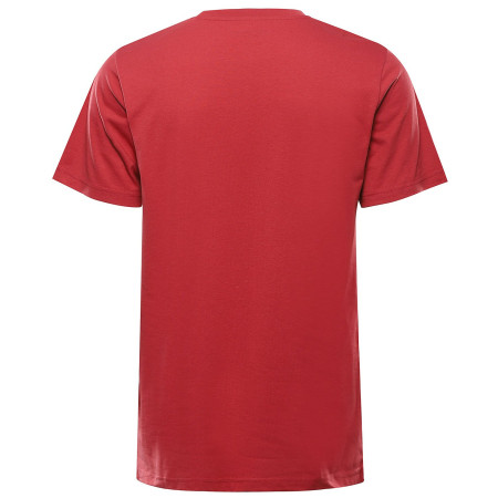 Camiseta de hombre Alpine Pro Bolen 2