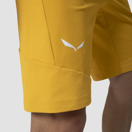 Pantalones cortos de hombre Salewa Agner Dst M Shorts.
