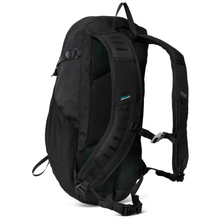 Mochila Regatta Blackfell IV 15L