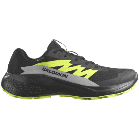 Zapatillas de carrera para hombre Salomon Alphaglide Gore-Tex