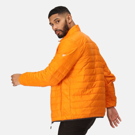 Chaqueta de hombre Regatta Hillpack