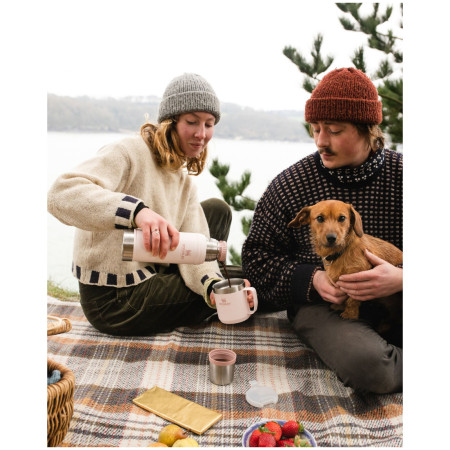 Taza Stanley Camp mug 350ml