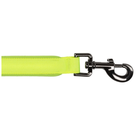 Correa para perro Nite Ize LED NiteDog