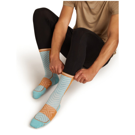 Calcetines de hombre Icebreaker Men Merino Run+ Ultralight Mini