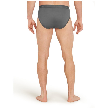 Calzoncillos de hombre Icebreaker Mens Anatomica Briefs