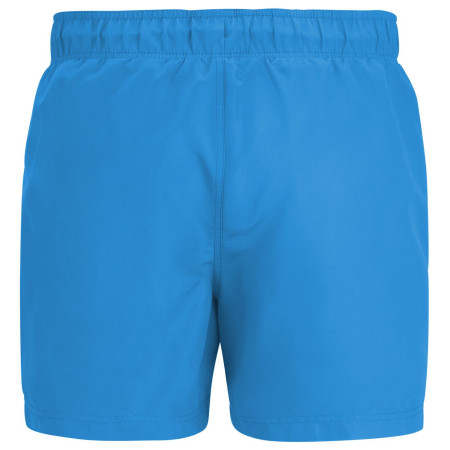 Bañador de hombre Regatta Mawson Swim Shorts III