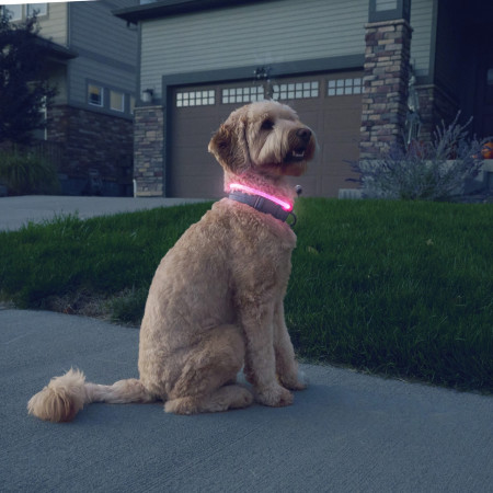 Collar luminoso para perro Nite Ize NiteHowl® Rechargeable LED Safety Necklace