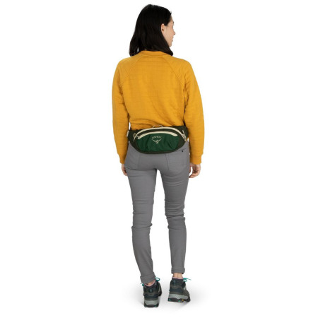 Riñonera Osprey Daylite Waist Black