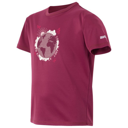 Camiseta para niños Regatta Alvarado IX