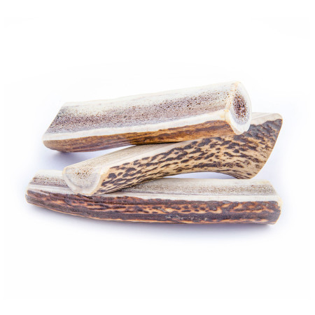 Juguete para perro Explorer Dog Antler Chew easy