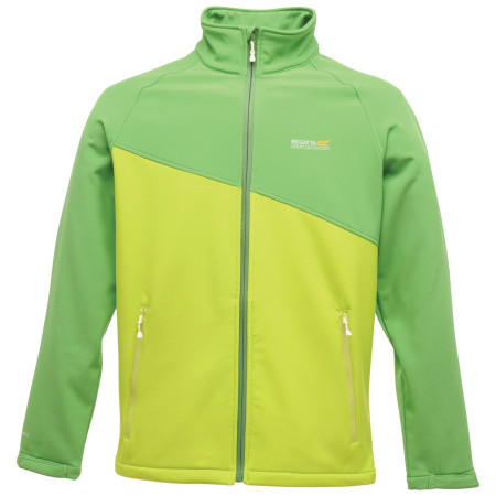 Chaqueta de hombre Regatta Nebraska Softshell verde