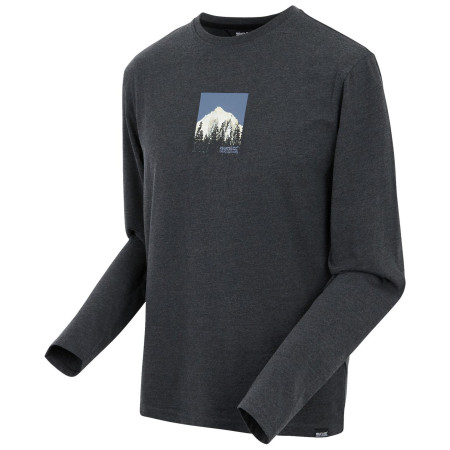 Camiseta de hombre Regatta Maylow