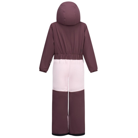 Mono para niños Dare 2b Rodeo Snowsuit Hucklbr/PkHz