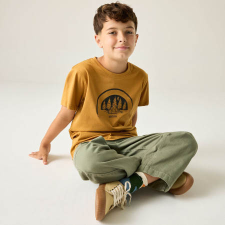 Camiseta para niños Regatta Bosley Wood Brown
