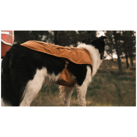 Ropa perro Ruffwear Overcoat Fuse™ Insulated Vest