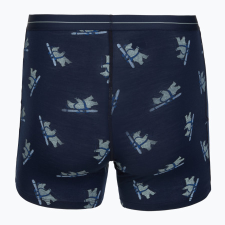 Calzoncillos bóxer funcionales para hombre Icebreaker Men M 150 Anatomica Boxers BearTourAOP