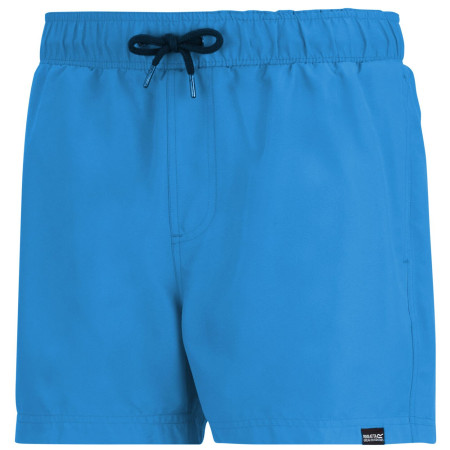 Bañador de hombre Regatta Mawson Swim Shorts III