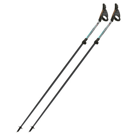 Bastones de caminata nórdica Fizan Tekno Race Impulse gris Grey