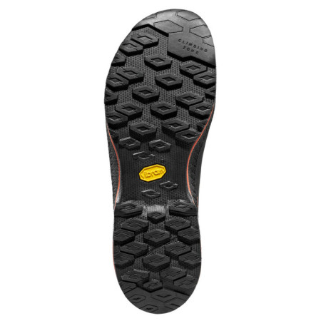Calzado de hombre La Sportiva TX4 Evo