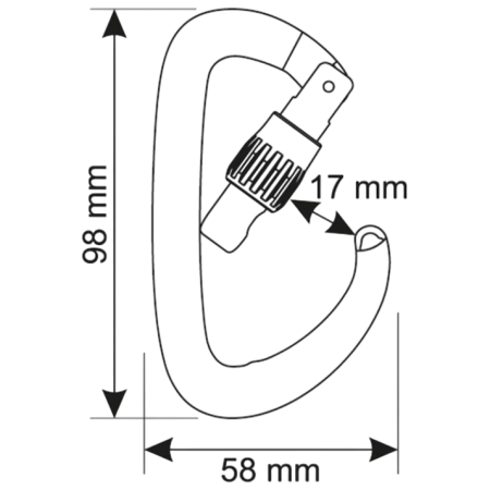 Mosquetón Camp Orbit Lock