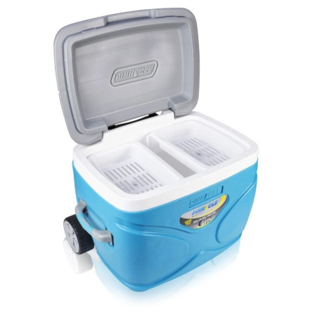Caja de refrigeración Pinnacle Prudence 66L
