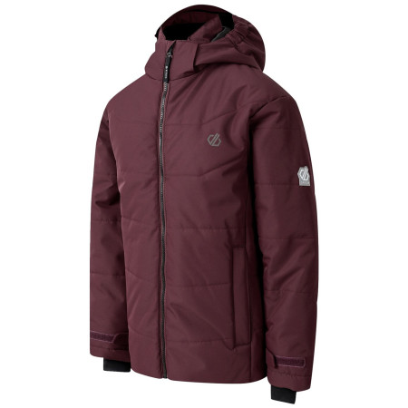 Chaqueta de invierno para niños Dare 2b Explorer Jacket