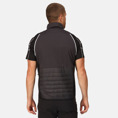 Chaqueta de hombre Regatta Steren Hybrid