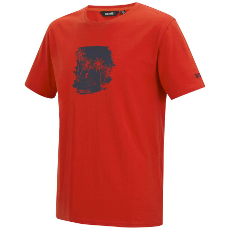 Camiseta de hombre Regatta Cline IX