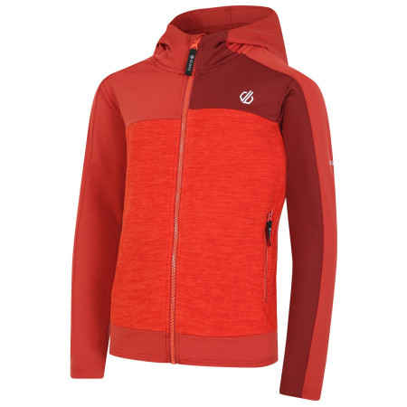 Sudadera para niños Dare 2b Thriving II Core St