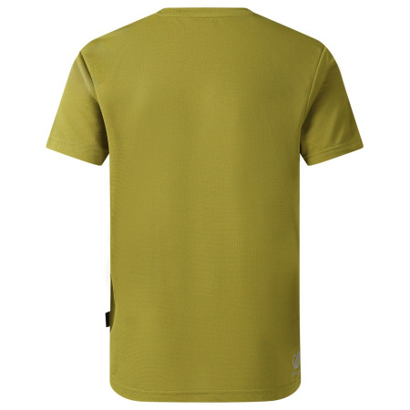 Camiseta para niños Dare 2b Amuse III Tee Goldn Cypress